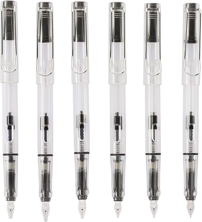 Lanxivi Yongsheng Calligraphy Fountain Pen Set Transparent Clear, 6 Assorted Tip Sizes for Art Drawing and Writing Signature