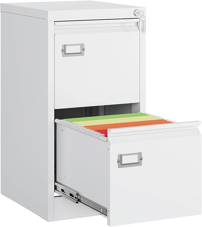 MIIIKO White 2 Drawer File Cabinet, Vertical Filing Cabinet with Lock, Home Office Storage Cabinet for Letter Legal A4 File Size