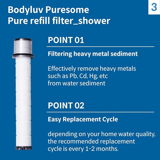 BODYLUV Pure Filter - Replacement Cartridge for Shower Head (3EA, 3.00, Count)