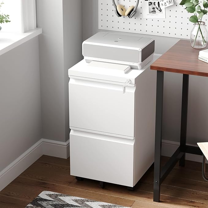 Letaya 2 Drawer Mobile File Cabinet with Lock,Under Desk Metal Filing Cabinets for Home Office Organizer Letters/Legal/A4(Fully Assembled-White)