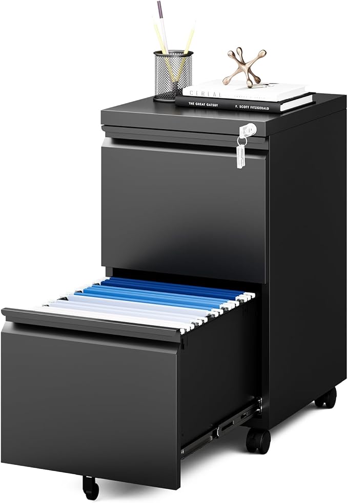 MIIIKO 2 Drawer File Cabinet on Wheels, Home Office Mobile File Drawers Under Desk, Filing Cabinets with Drawers for Legal/Letter/A4 File Folders(Black),Un-Assembled