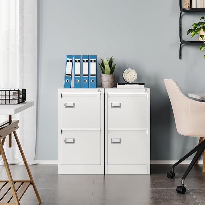 MIIIKO White 2 Drawer File Cabinet, Vertical Filing Cabinet with Lock, Home Office Storage Cabinet for Letter Legal A4 File Size