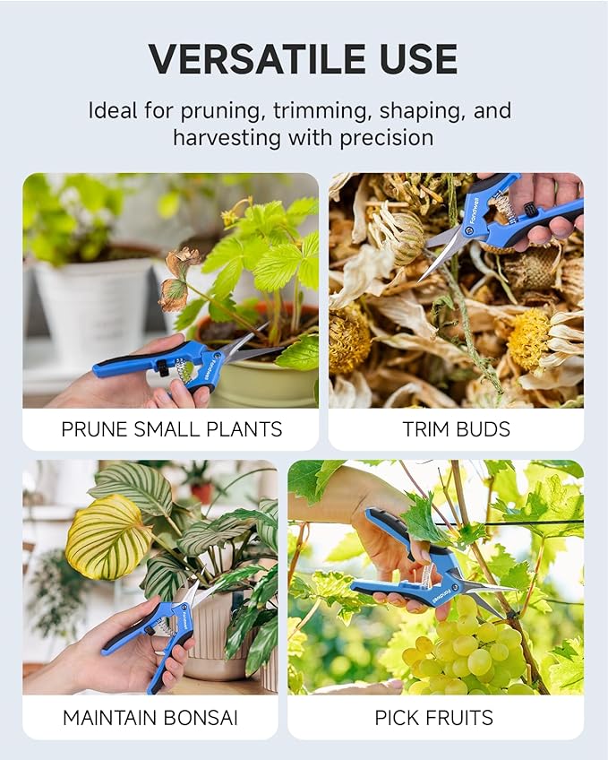 Fondwell 6.5" Small Pruning Shears Garden Snips Precision Trimming Scissors | 2-Pack Plant Scissors, Ultra-Sharp Micro-Tip Straight & Curved Blades, Fatigue-Free - for Flower, Bonsai, Detailed Gardening