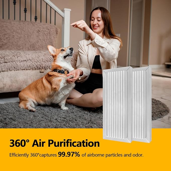 2 Pack 990051000 True HEPA Air Purifier Replacement Filter Compatible with Hamilton Beach TrueAir 04383 04384 04385 04386 Air Purifiers Pet Filter Replacement