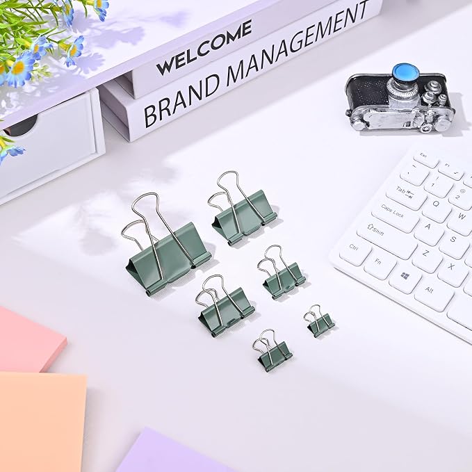 Temiary Aesthetic Binder Clips, Large Metal Binder Clip with Clear Storage Container, Binding Paperwork Clamps for School Teachers Office Supplies (Green 2 Inch, 12P)