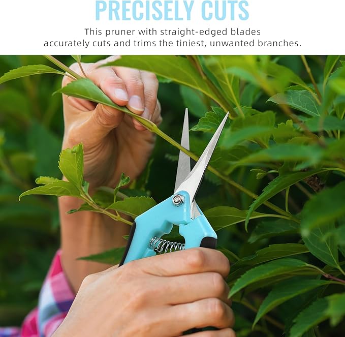 BEoffer 4 Pack Pruning Shears, 6.5 Inch Garden Scissors Gardening Hand Pruning Snips with Straight Stainless Steel Precision Blades for Gardening Flower Plant Precise Trimming and Pruning Maintenance