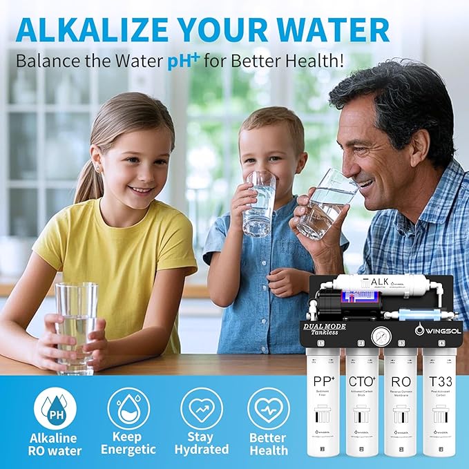 WINGSOL Replacement Filter Cartridge for RO Water Filter System Compatibel with: WS-QCJ-6RO (F-T33)(F-ALK)(F-Dual), CTO+