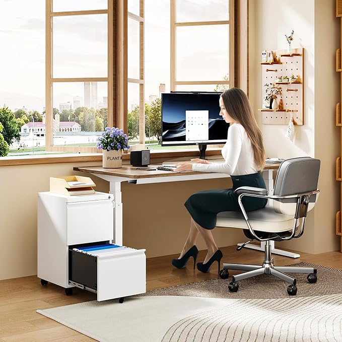 MIIIKO 2 Drawer File Cabinet on Wheels, Home Office Mobile File Drawers Under Desk, Filing Cabinets with Drawers for Legal/Letter/A4 File Folders(White),Un-Assembled